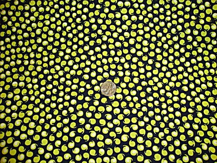 Amy Butler Cottons